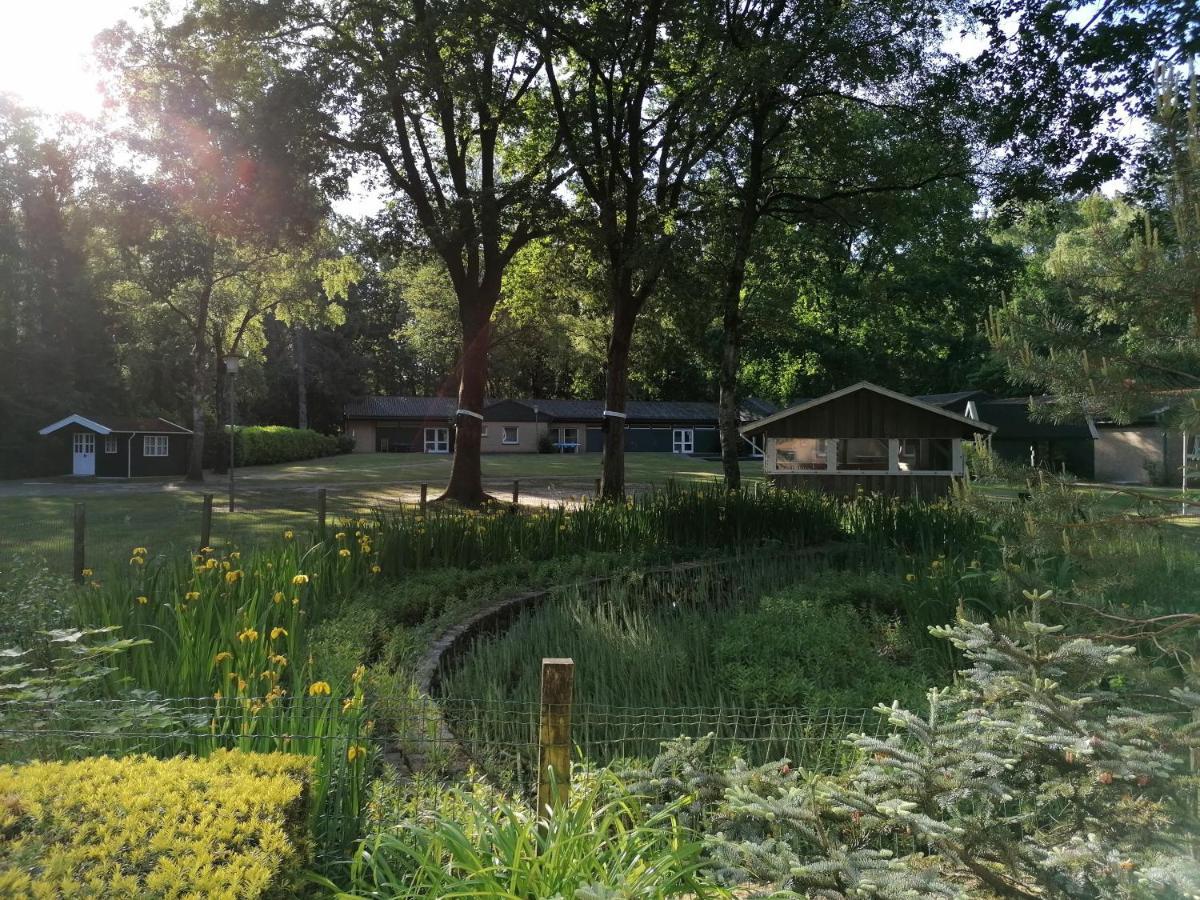 Waldjugendherberge Uelsen Extérieur photo